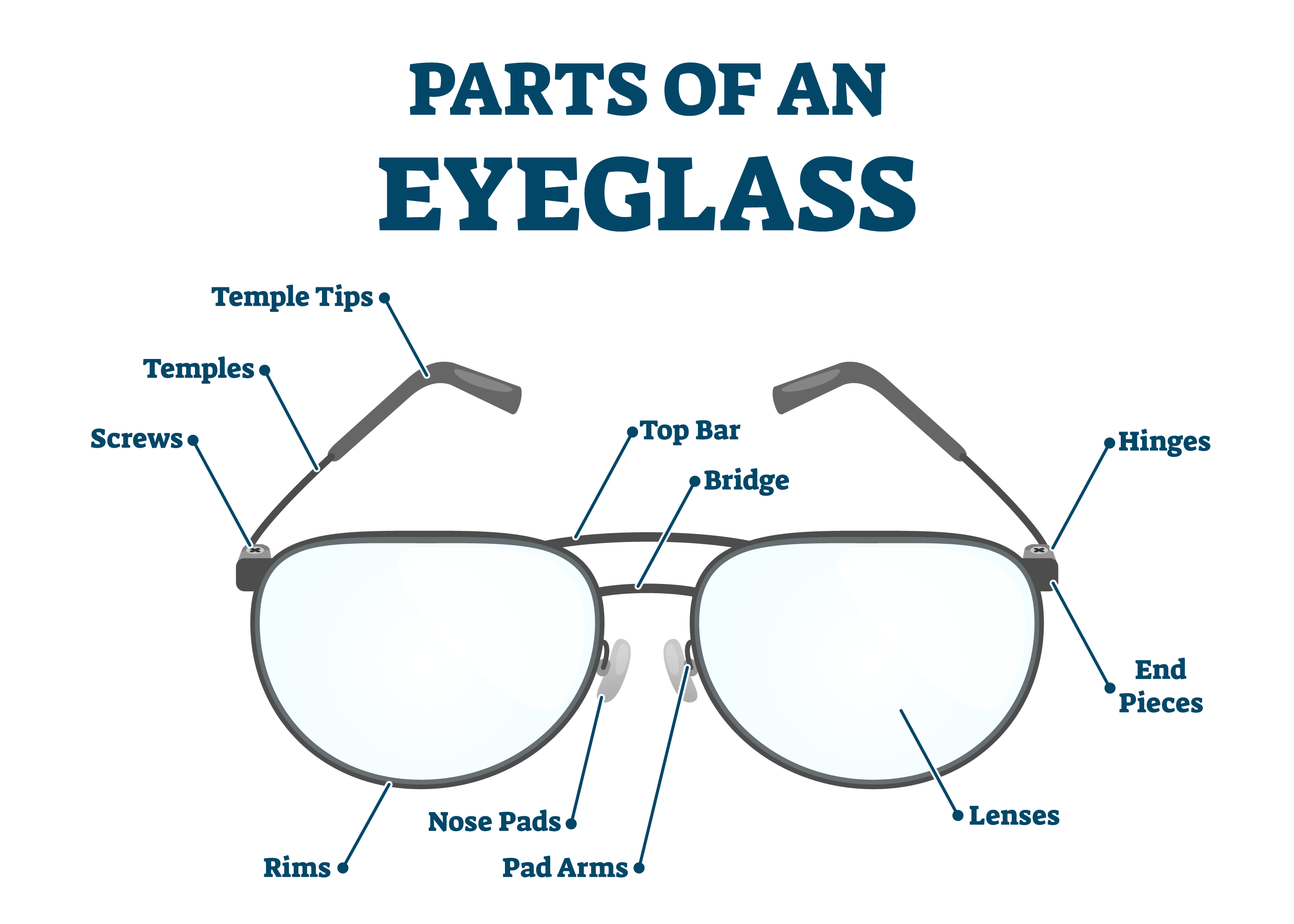 Parts of Eyeglasses | Anatomy of 